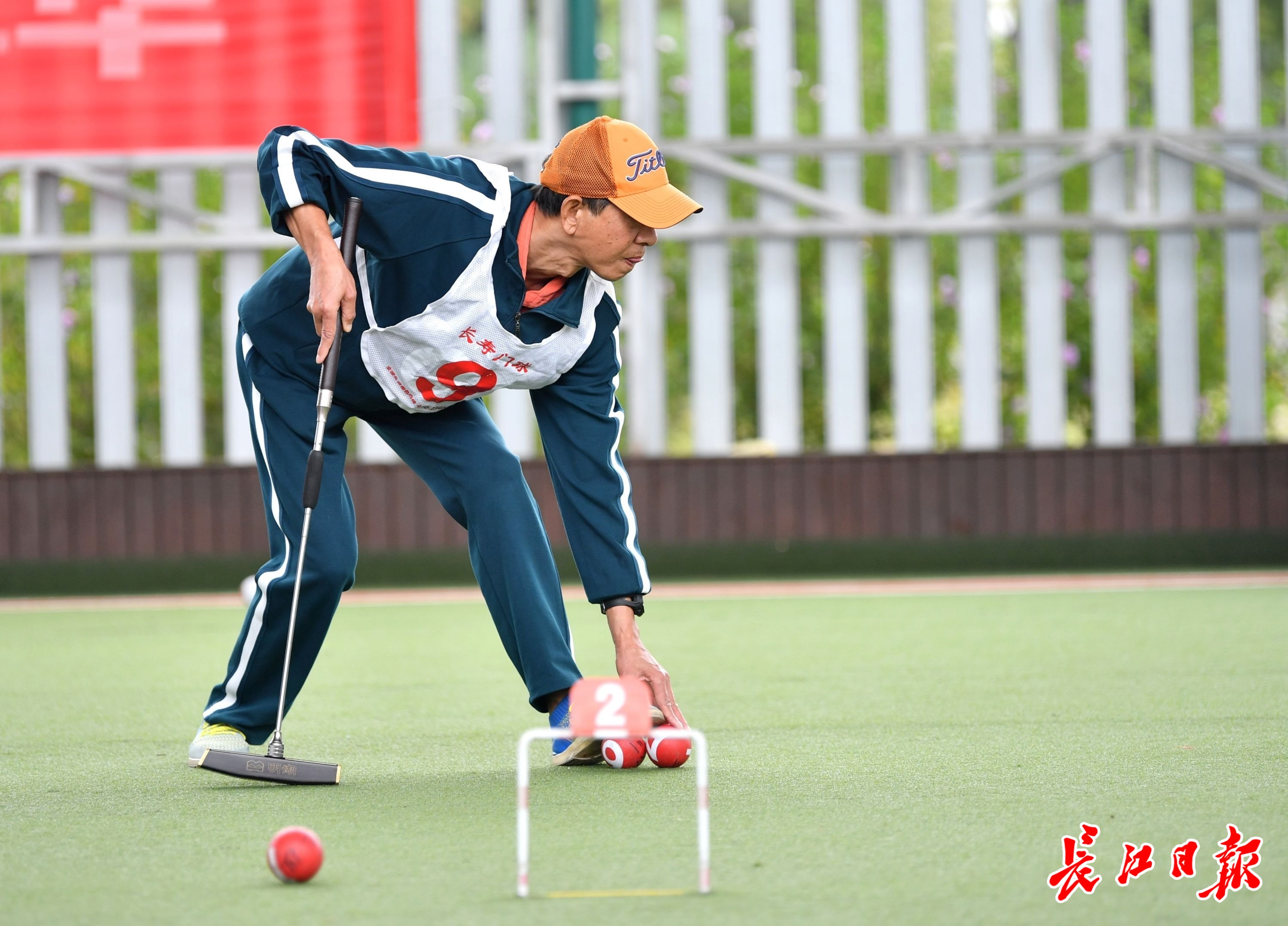 温州门球_(温州门球草)