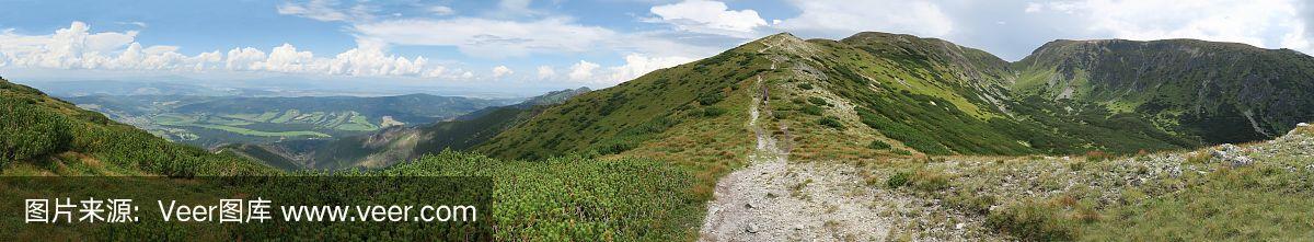 罗哈斯_(利奥罗哈斯)