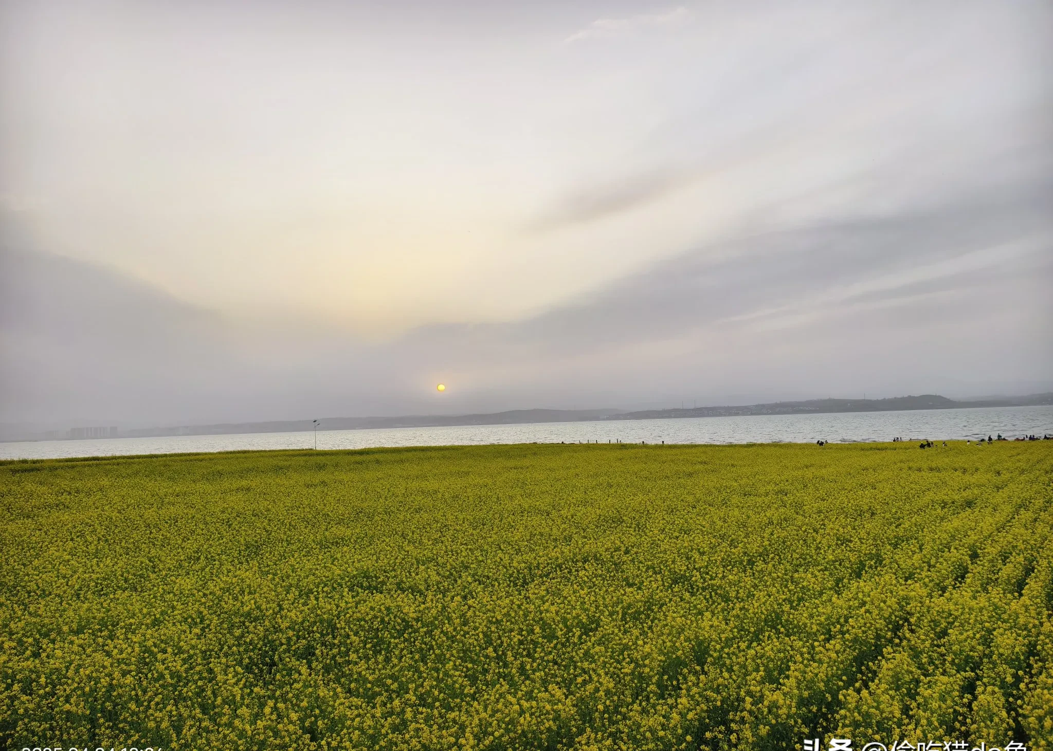 陆浑水库水来自哪里_(陆浑水库上游在什么地方)