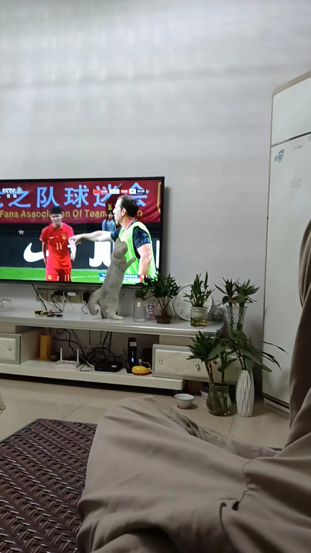 看球宝赛事直播_(看球宝比赛直播在线观看回放) 看球宝赛事直播_(看球宝比赛直播在线观看回放)