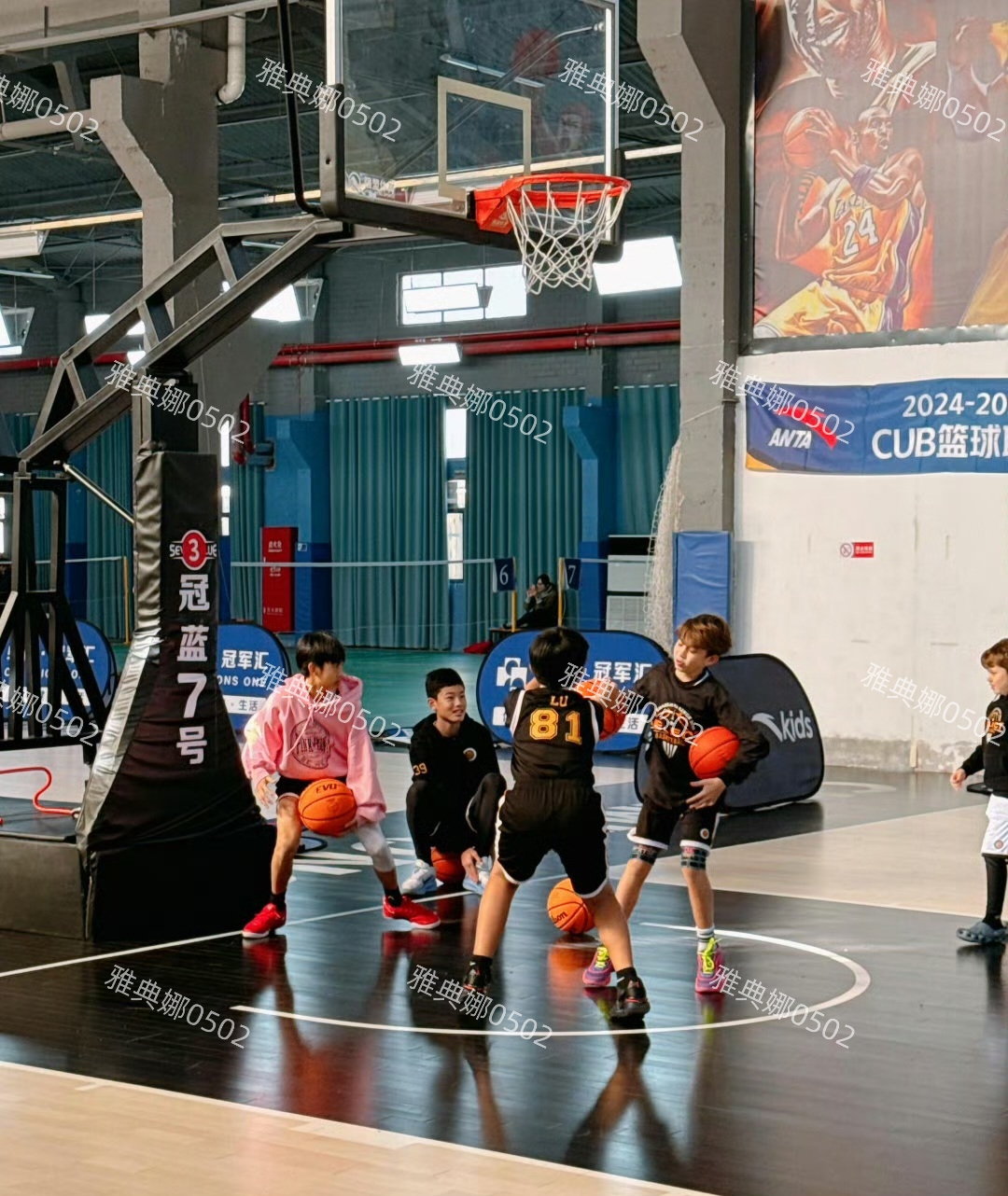 体育篮球直播_(央视体育篮球直播)