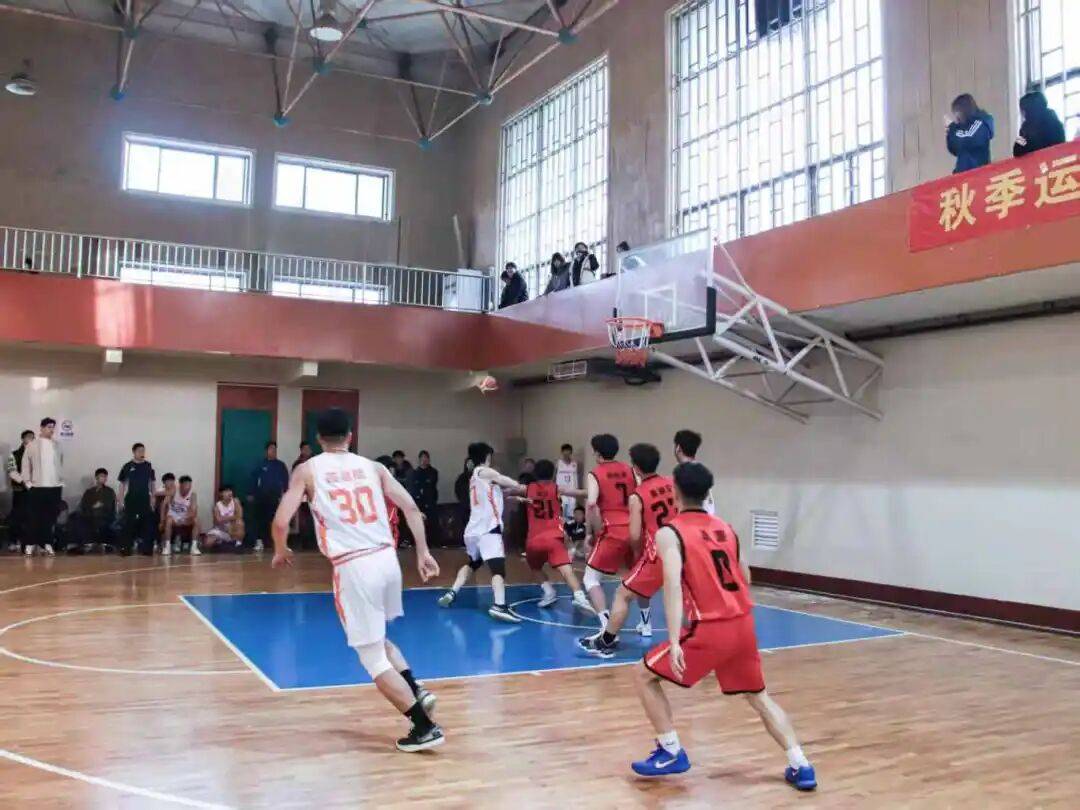 包含高清无延迟篮球直播实时见证赛场每一个高光的词条