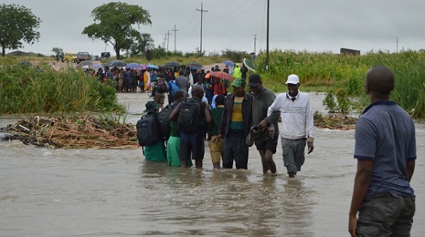 非洲篮联:达尔城VS贝拉铁路