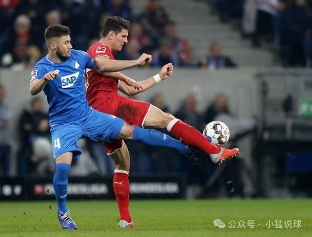 德甲女:霍芬海姆女足VS拜仁女足 德甲女:霍芬海姆女足VS拜仁女足