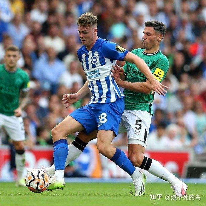 英超布莱顿2-1纽卡斯尔联维尔贝克双响沃尔特马德破门难救主的简单介绍