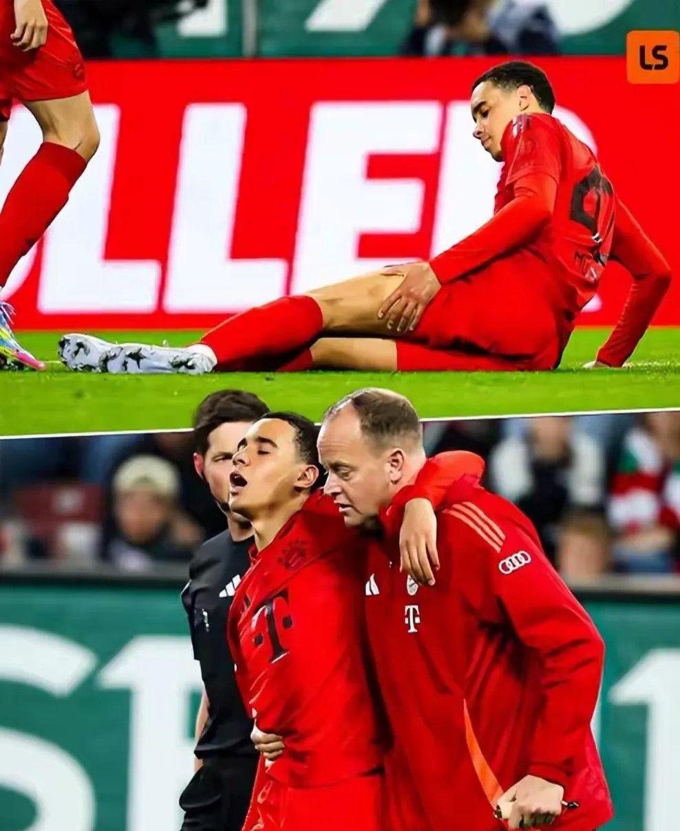 拜仁因延迟开球遭罚款纪律严谨的德甲赛场不容懈怠的简单介绍