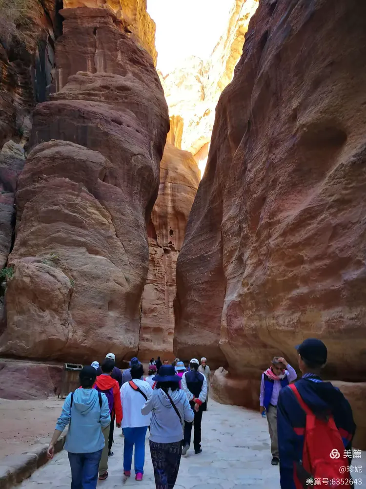 约旦甲:安曼FCVS亚喀巴的简单介绍 约旦甲:安曼FCVS亚喀巴的简单介绍