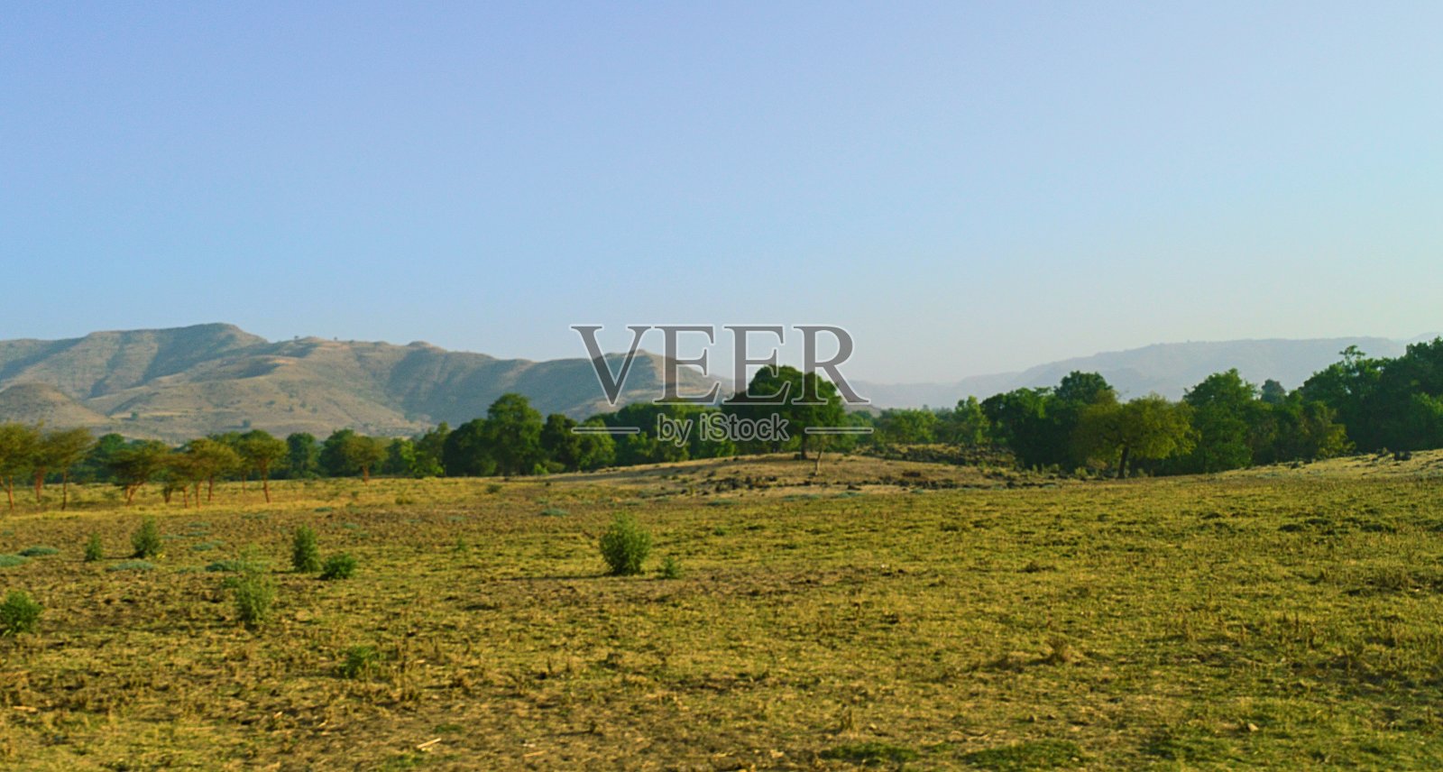 埃塞超：巴赫达尔VS埃塞俄比亚电力的简单介绍