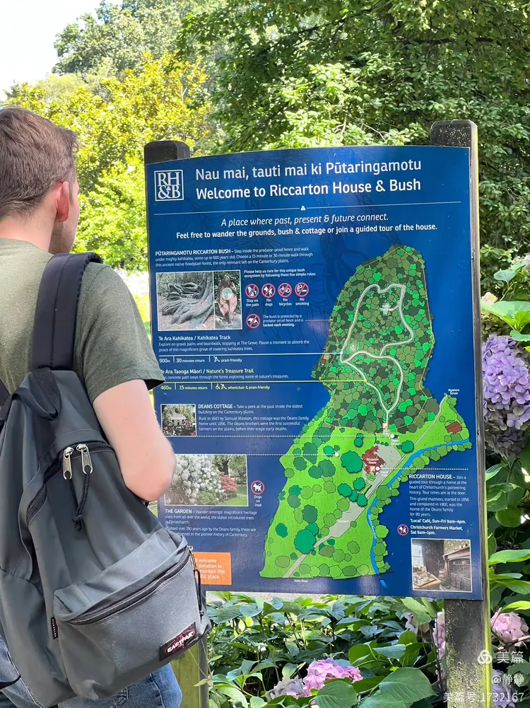 关于新西兰超：惠灵顿奥林匹克VS基督城联的信息