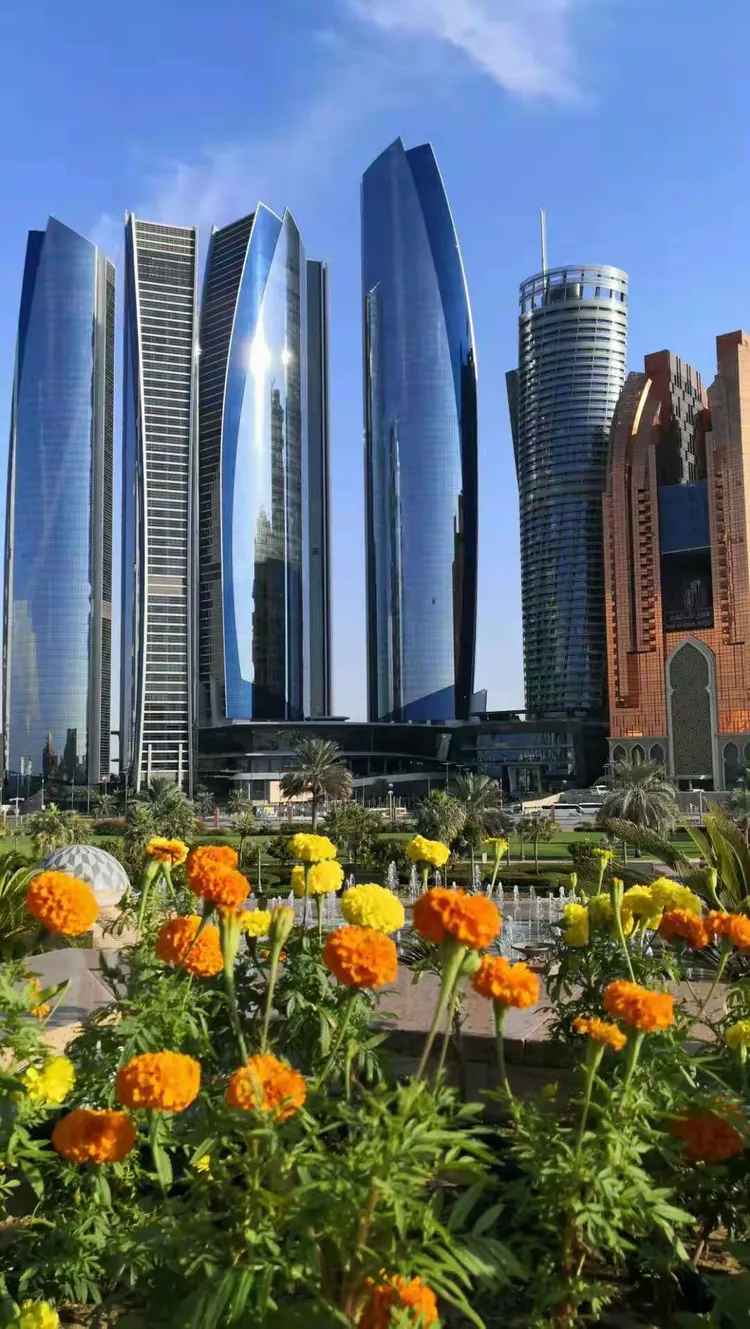 阿联酋甲：迪拜艾蒂法克VS玛吉德FC的简单介绍