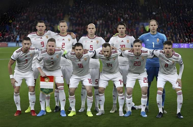 世预赛爱尔兰VS匈牙利预测爱尔兰主场作战的简单介绍