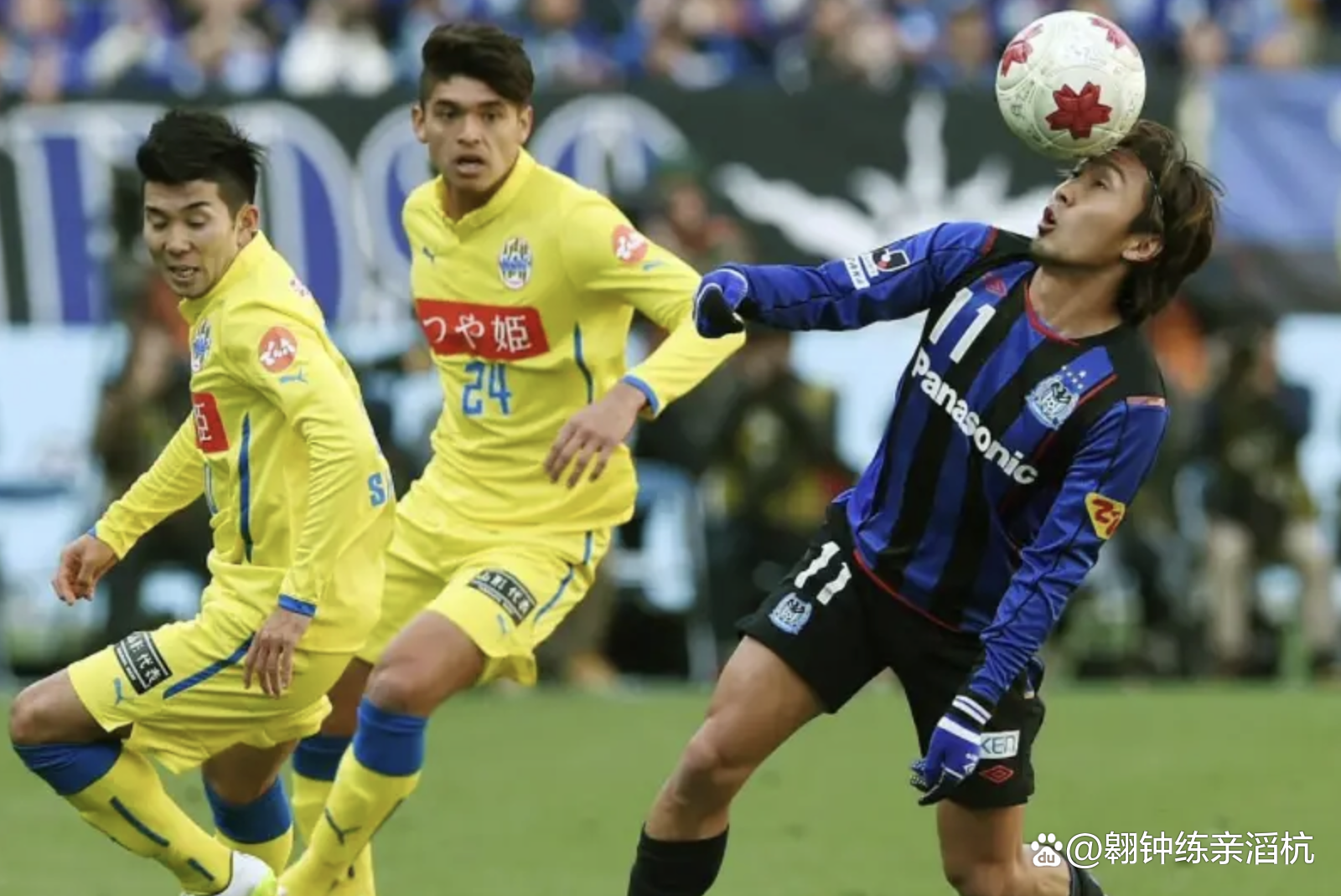 日职乙水户蜀葵VS富山胜利比赛预测水户蜀葵本赛季表现出色的简单介绍