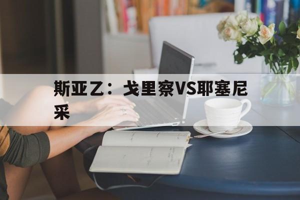 包含斯亚乙：戈里察VS耶塞尼采的词条