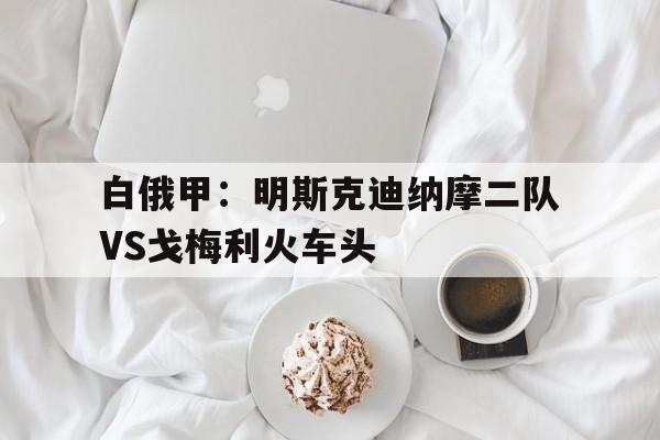 关于白俄甲：明斯克迪纳摩二队VS戈梅利火车头的信息