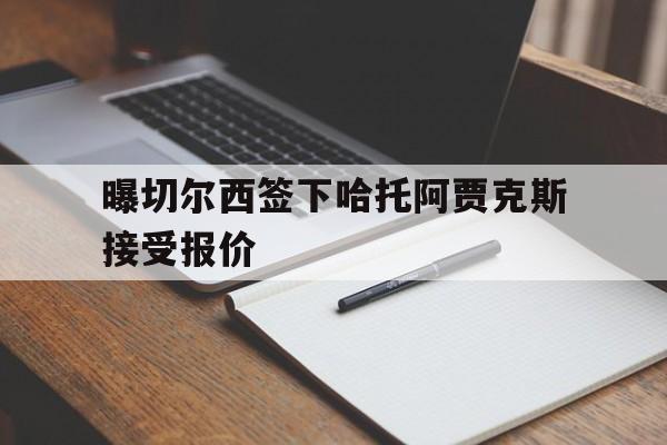 曝切尔西签下哈托阿贾克斯接受报价  第1张