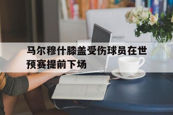 包含马尔穆什膝盖受伤球员在世预赛提前下场的词条